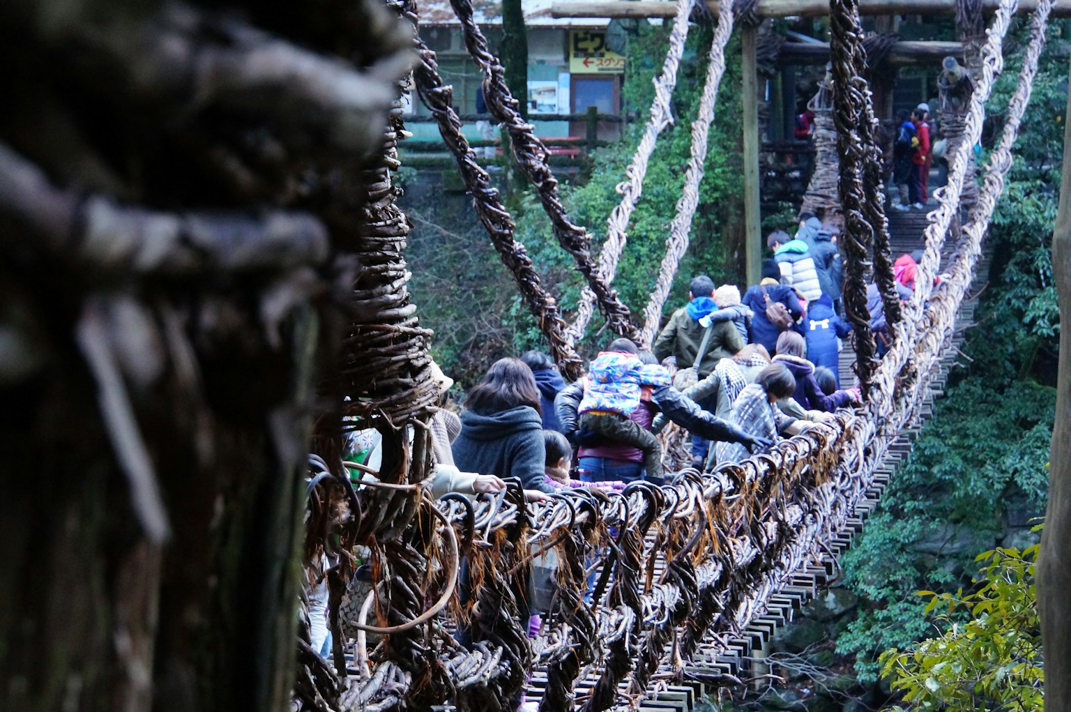 นักท่องเที่ยวข้ามสะพานแขวนในสภาพแวดล้อมที่เขียวขจี
