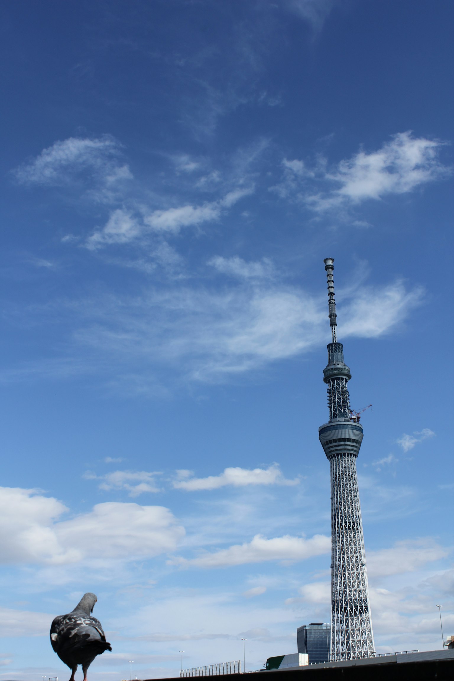 Tokyo Skytree sotto un cielo blu con una scultura di uccello in primo piano
