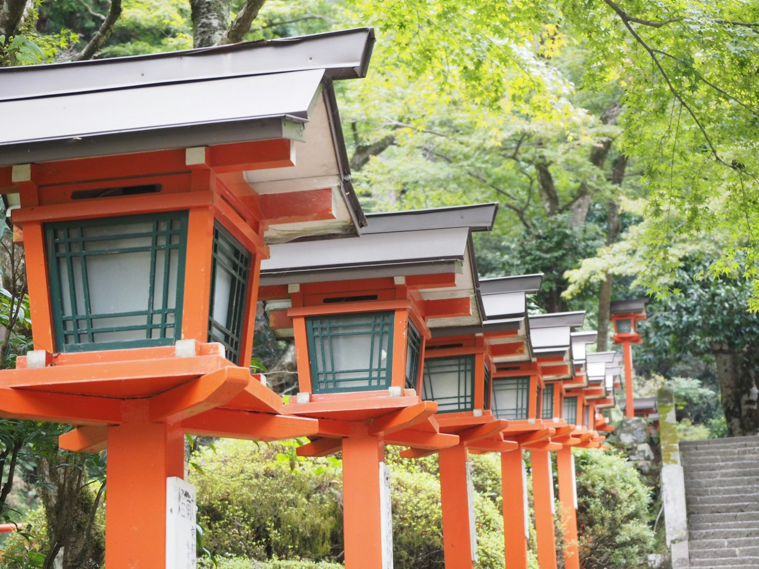 แถวโคมไฟสีส้มที่มีพื้นหลังสีเขียวในบรรยากาศที่เงียบสงบ