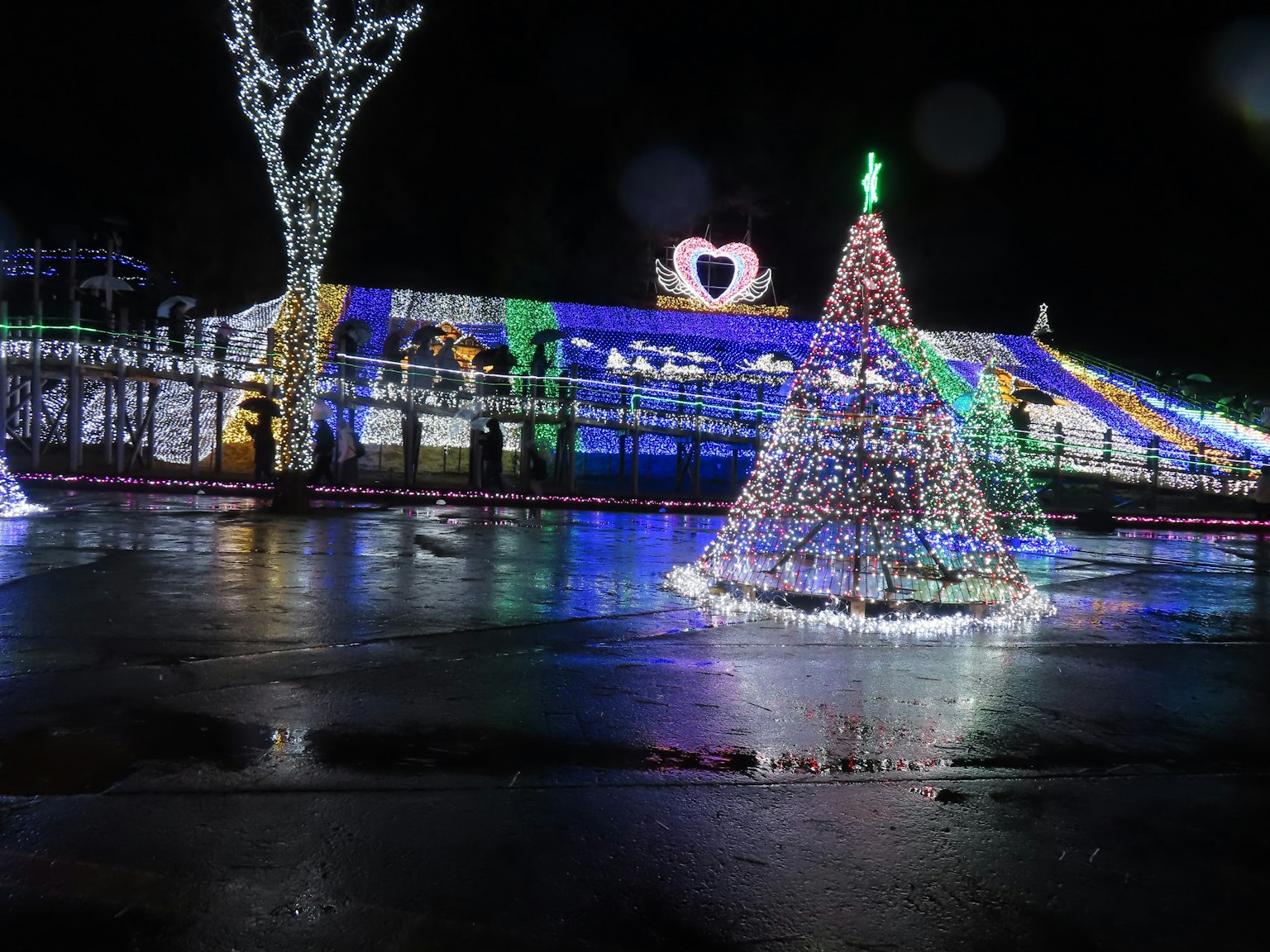 Beleuchteter Weihnachtsbaum und dekoriertes Gebäude bei Nacht