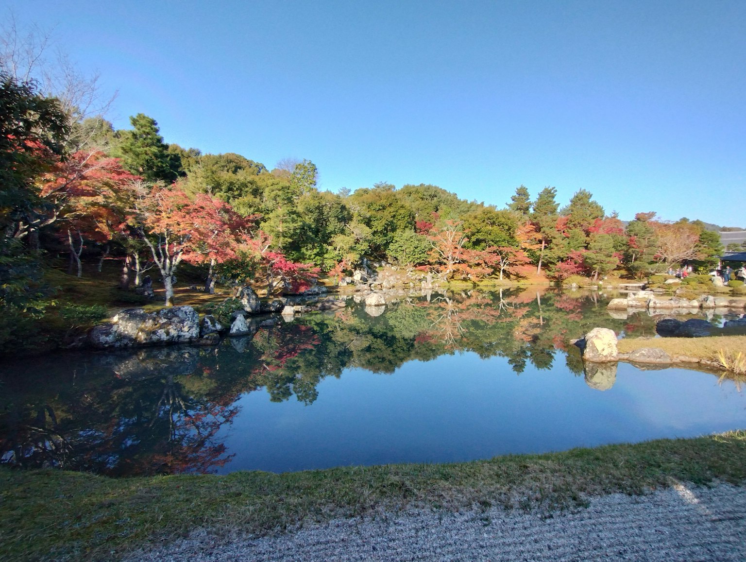 Scenic view of a tranquil pond surrounded by autumn leaves