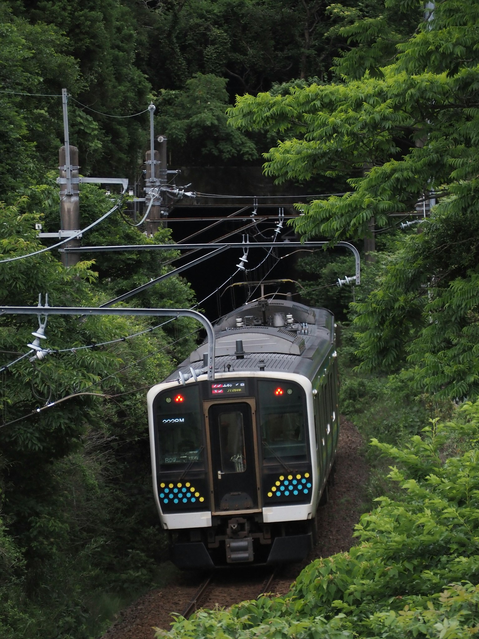 Zug, der in einen Tunnel fährt, umgeben von üppigem Grün