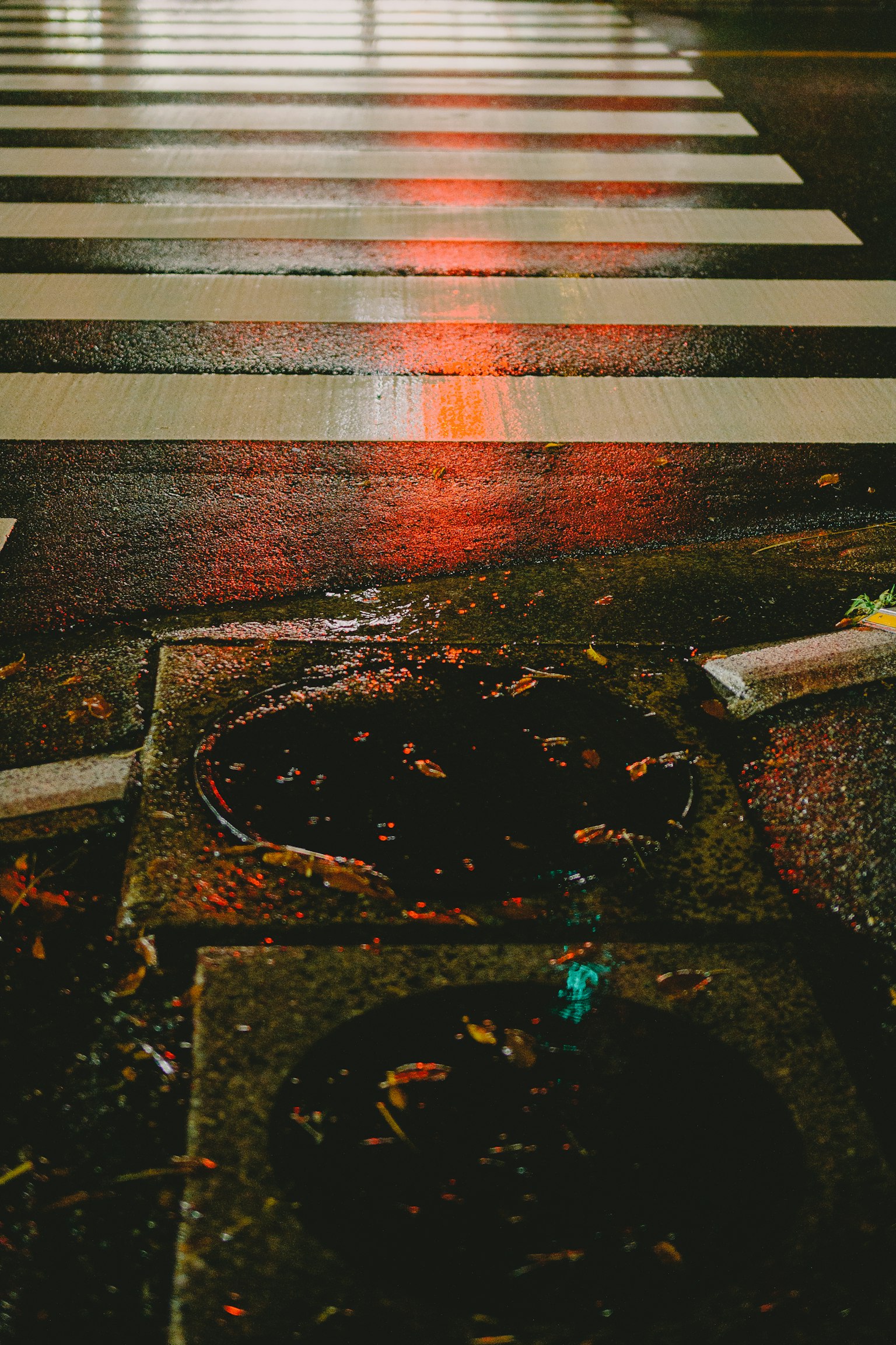 photo-VEu95ZSDgIXf07hXvcJ5-image