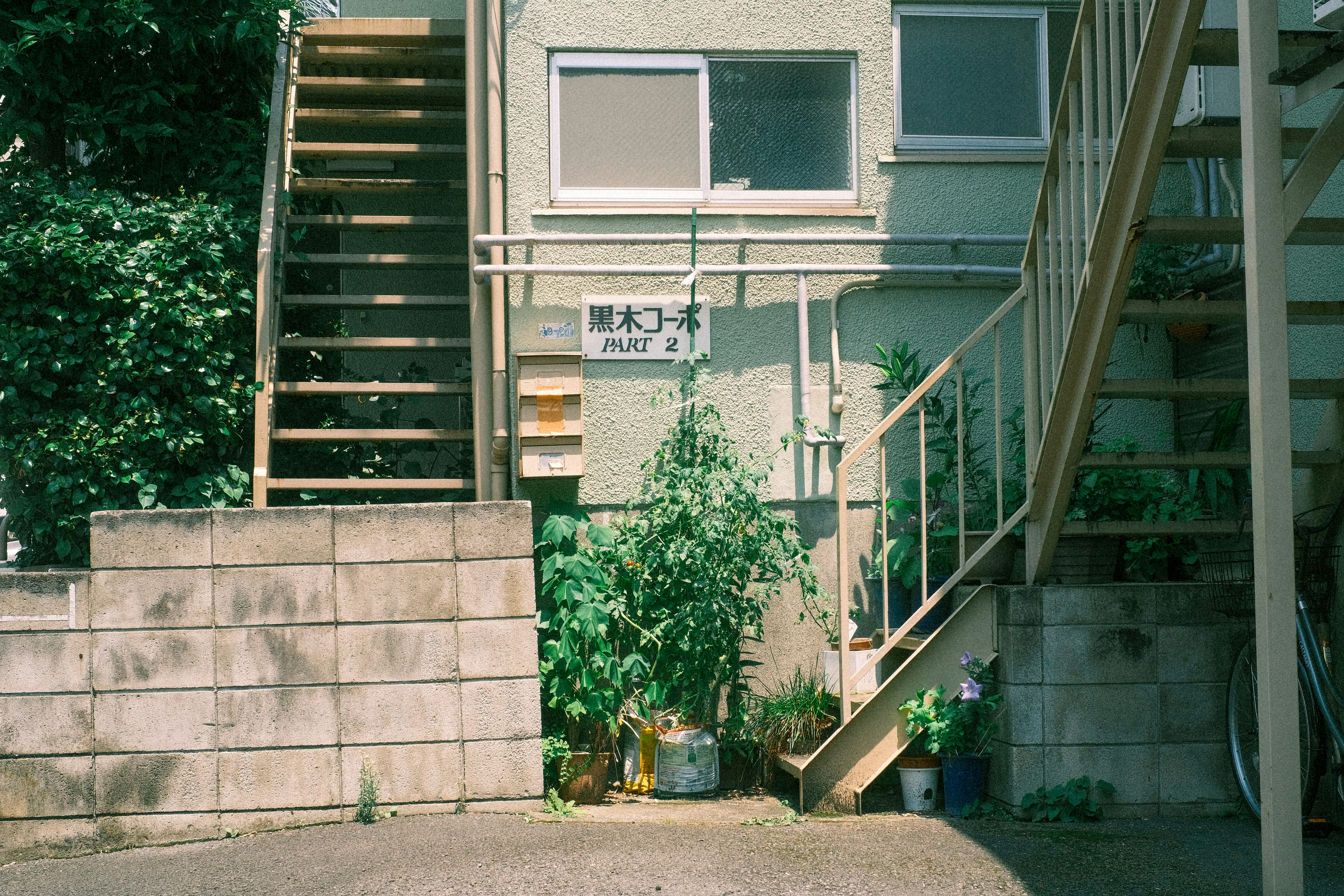 塀と階段のある中庭で緑の植栽が並ぶ住宅外観