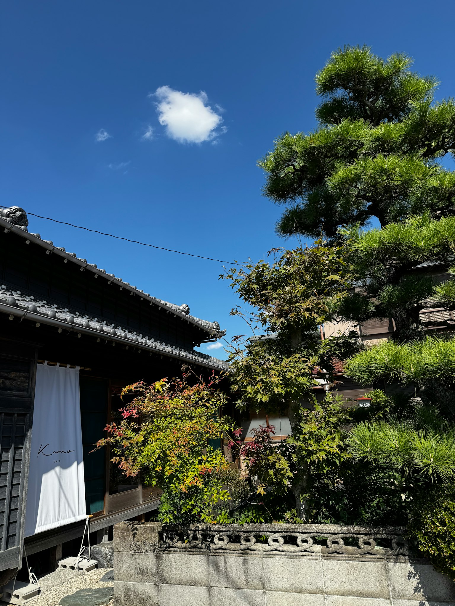 清澈藍天下的傳統日本房屋和花園