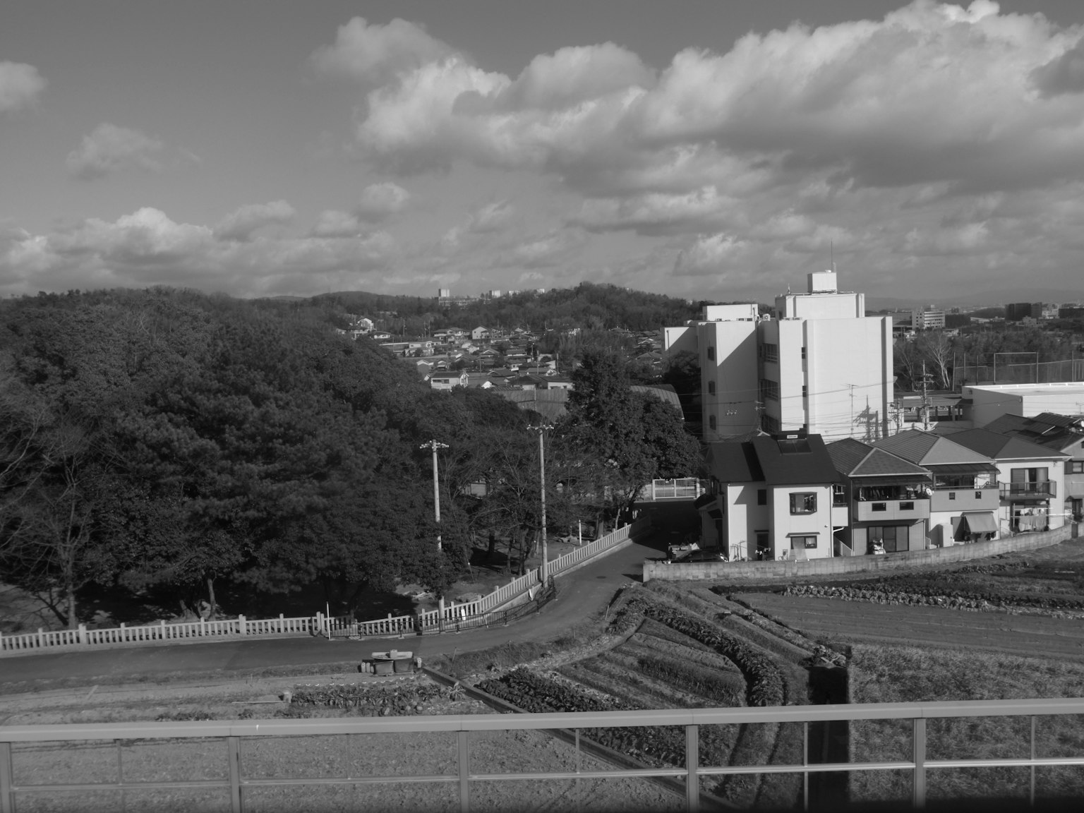 Black and white landscape photo featuring a residential area and distant hills