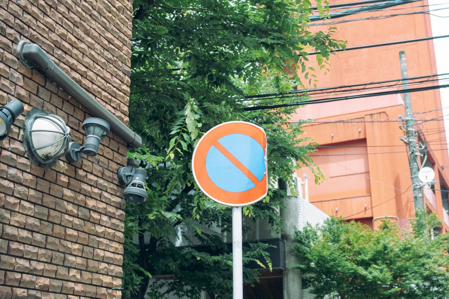 Panneau de stationnement interdit à côté d'un mur en briques et d'arbres verts dans un environnement urbain