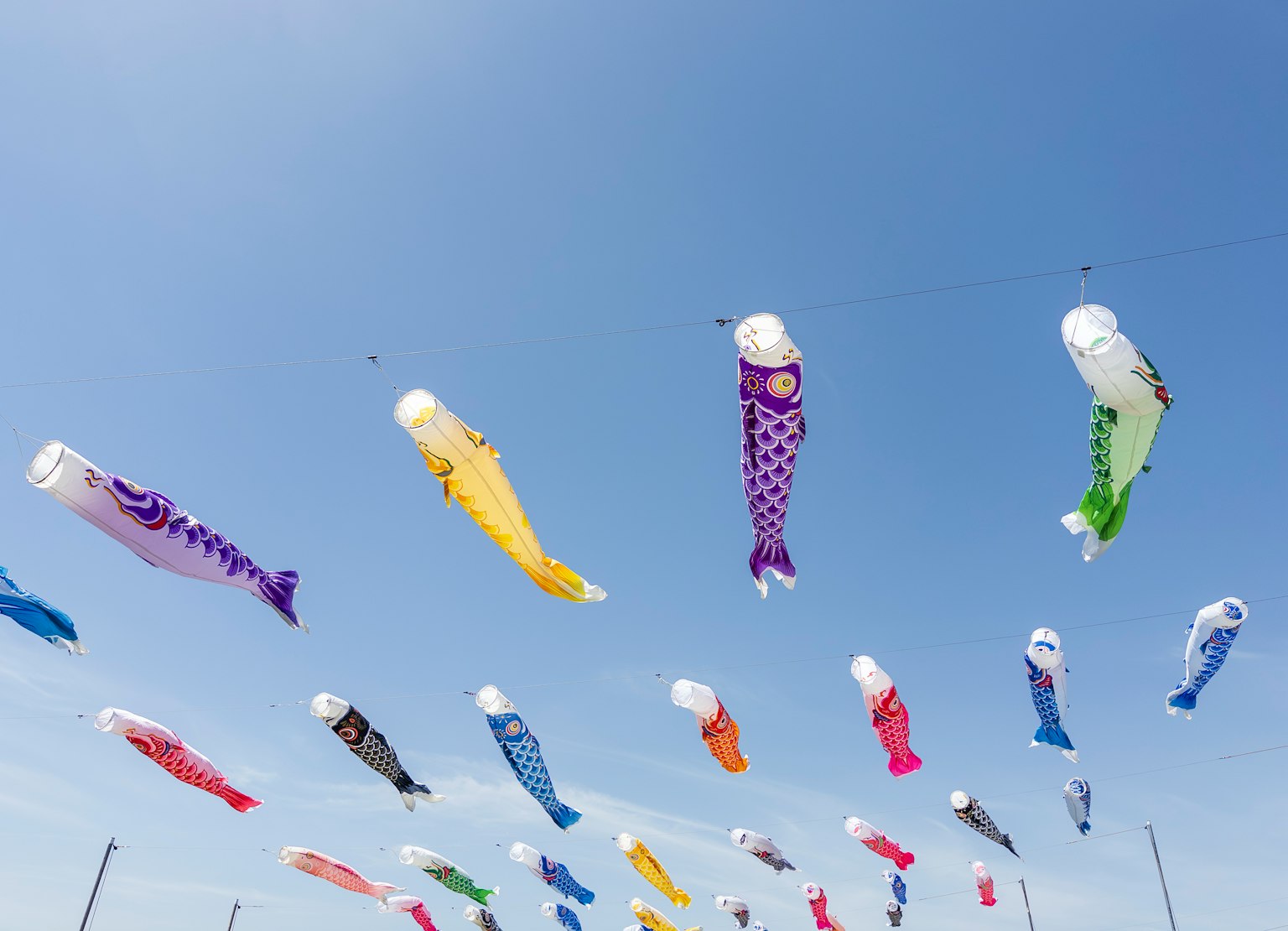 Koinobori หลายสีที่บินอยู่ในท้องฟ้าสีฟ้า