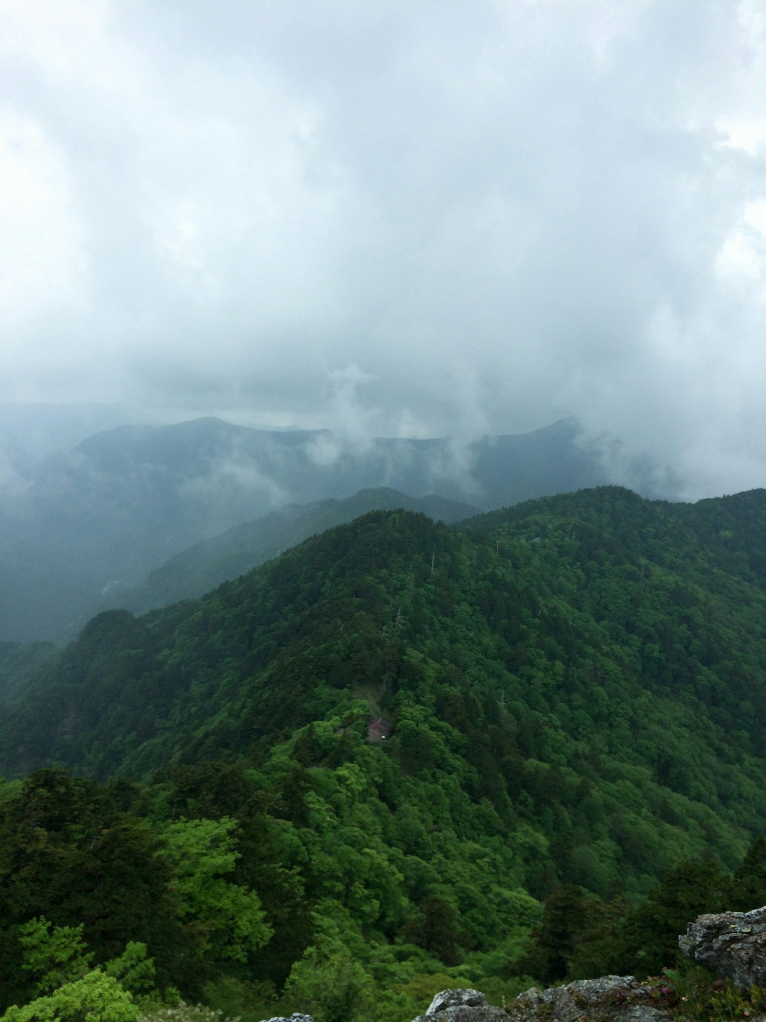 Scenic view of lush green mountains shrouded in mist