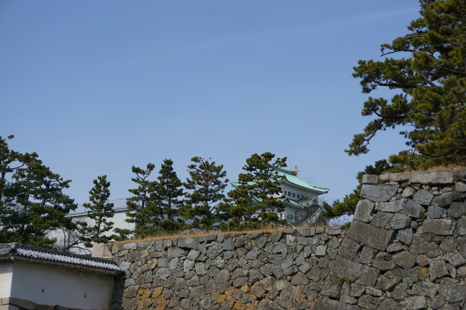 Muro di castello in pietra con alberi sotto un cielo blu chiaro