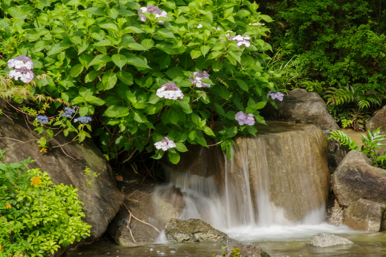Air terjun tenang dikelilingi oleh vegetasi subur dan bunga ungu yang mekar