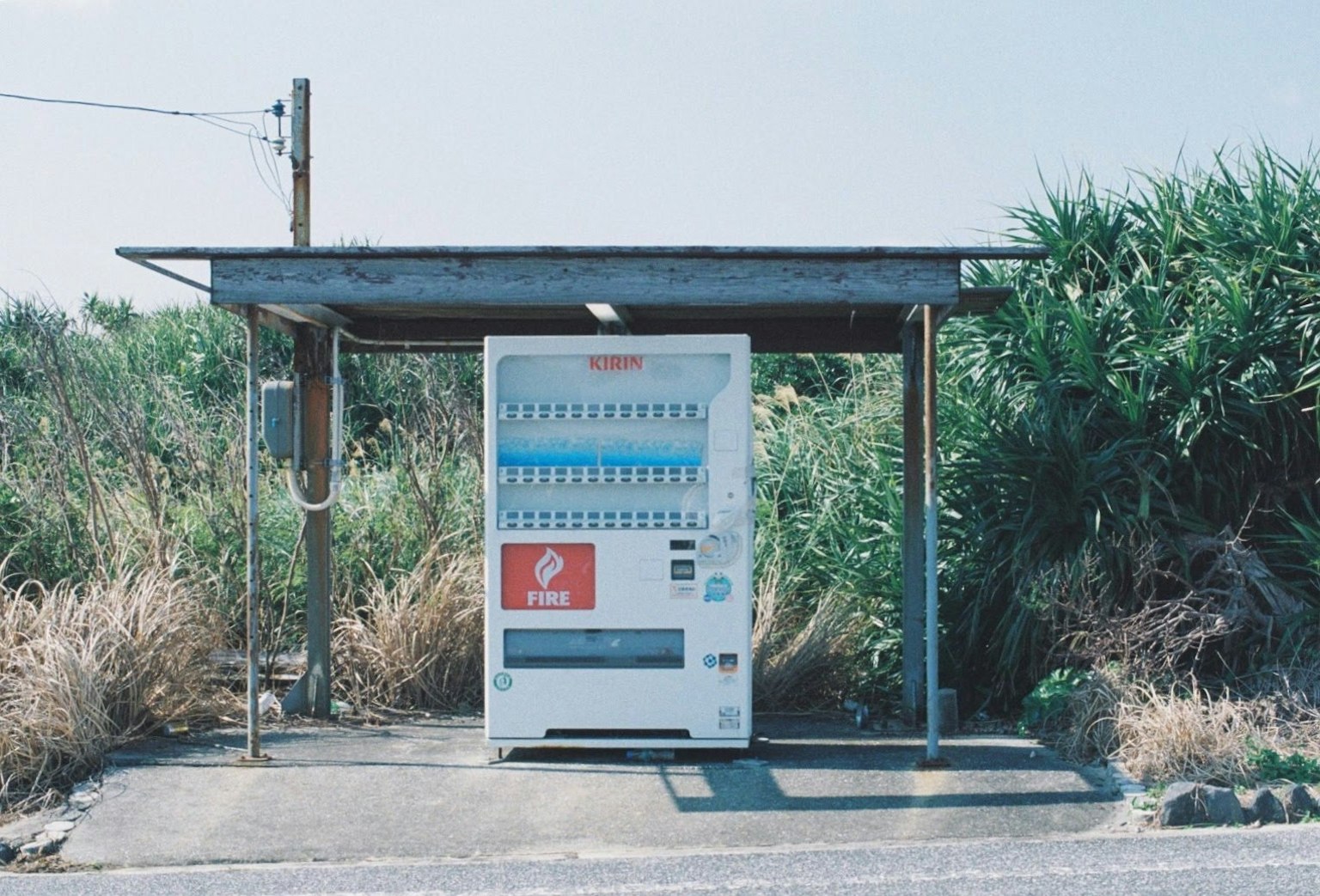 公車站旁的自動販賣機被草包圍