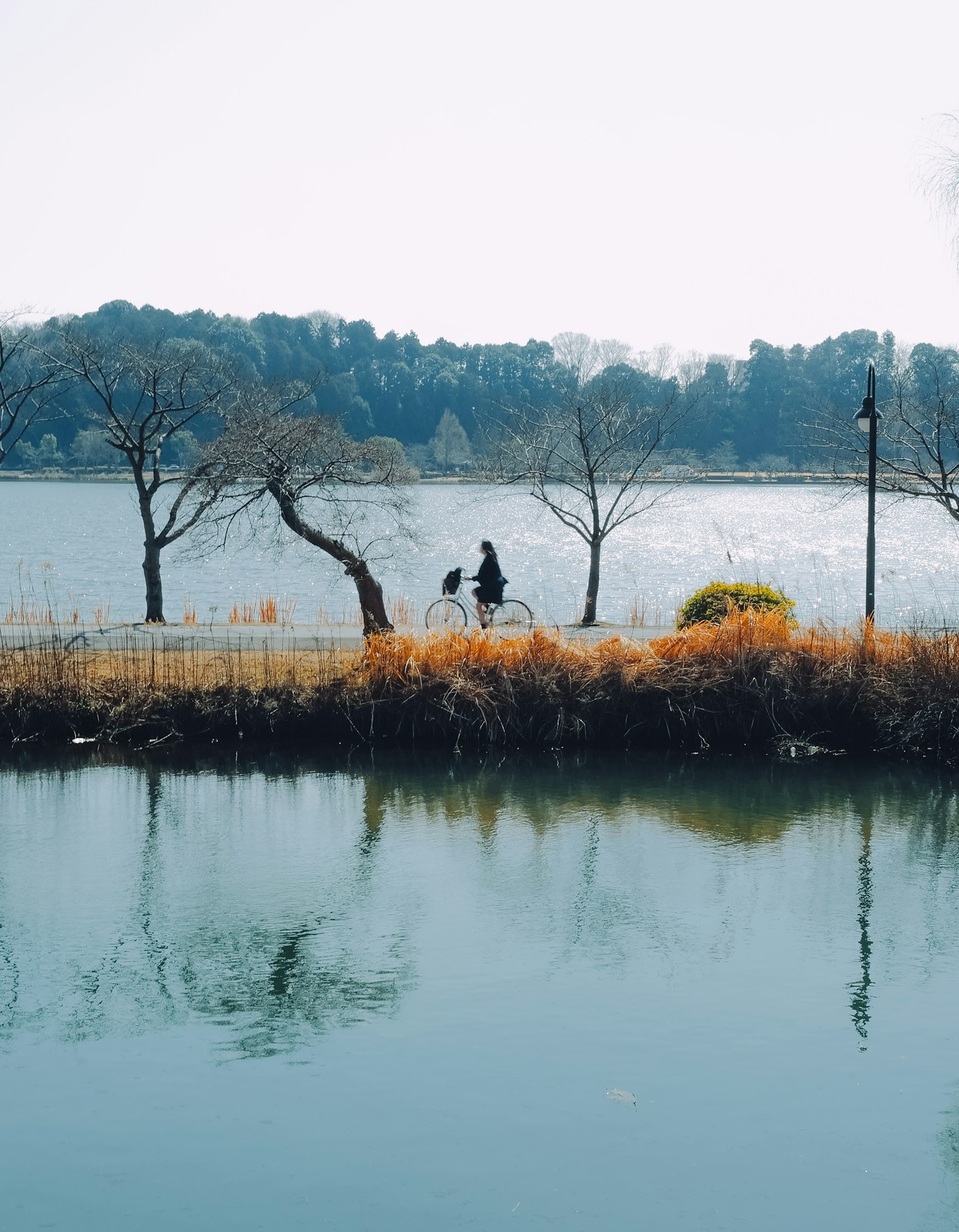 A person riding a bicycle by a serene lakeside with reflections