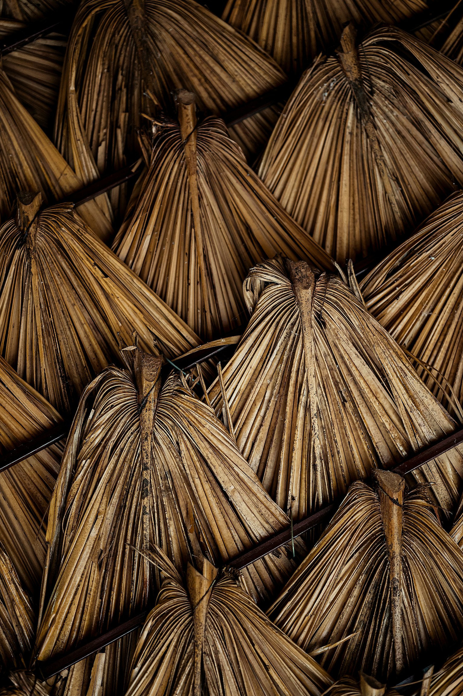 Image of overlapping bundles of dried grass