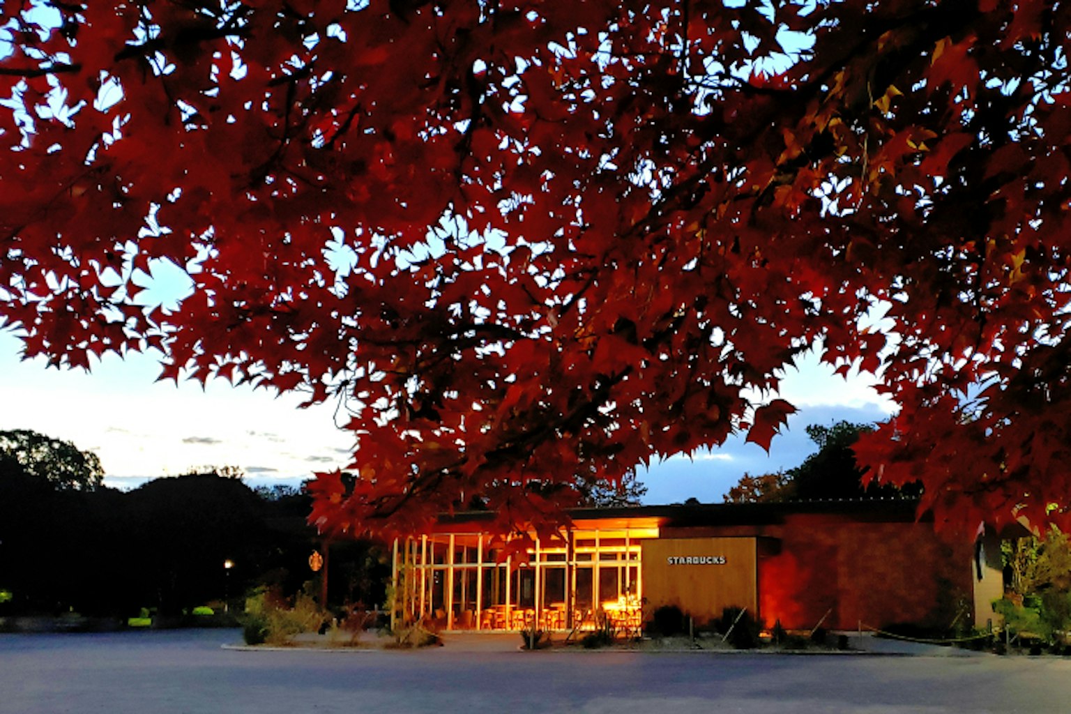 赤い葉に囲まれた温かい光を放つ建物の外観