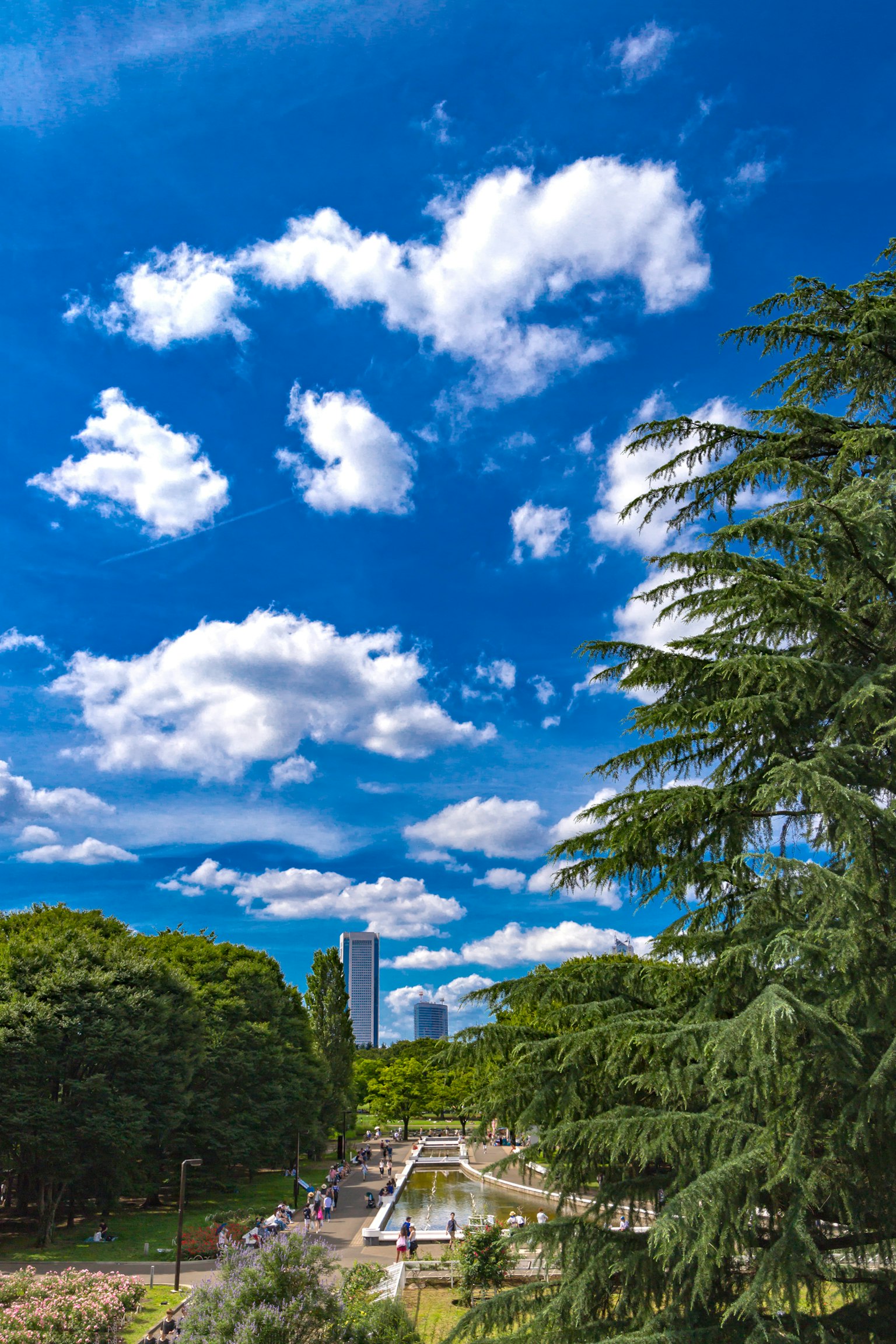Paisaje del parque bajo un cielo azul con nubes blancas árboles verdes y edificios lejanos