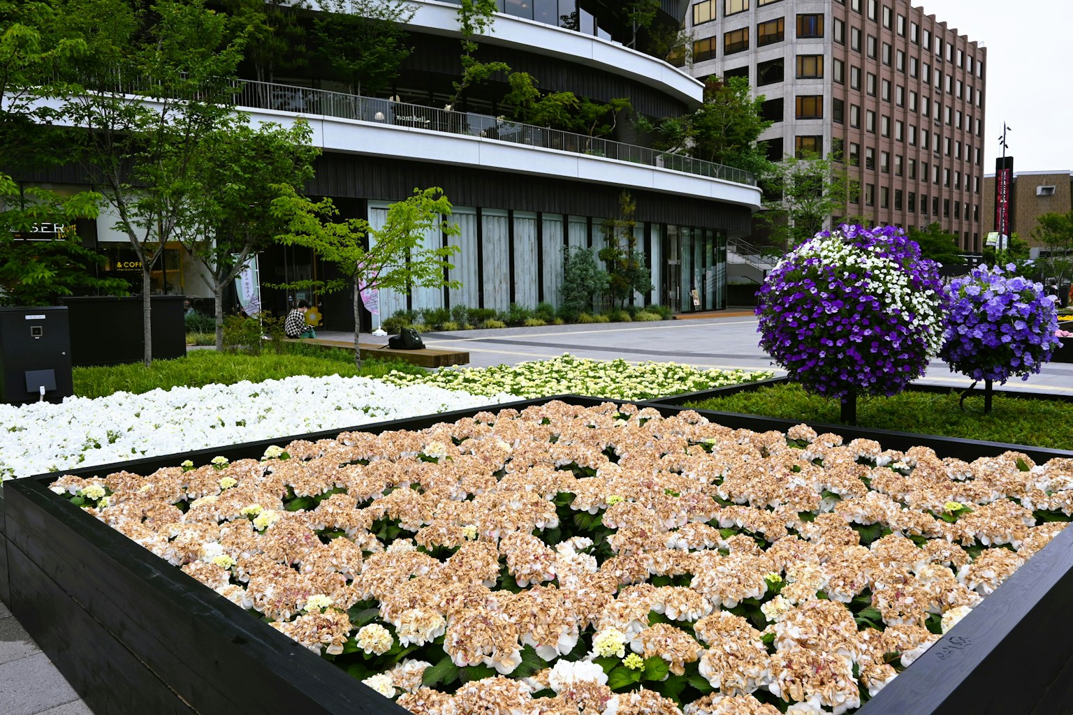Eine Gartenszene mit bunten Blumen und einem modernen Gebäude im Hintergrund