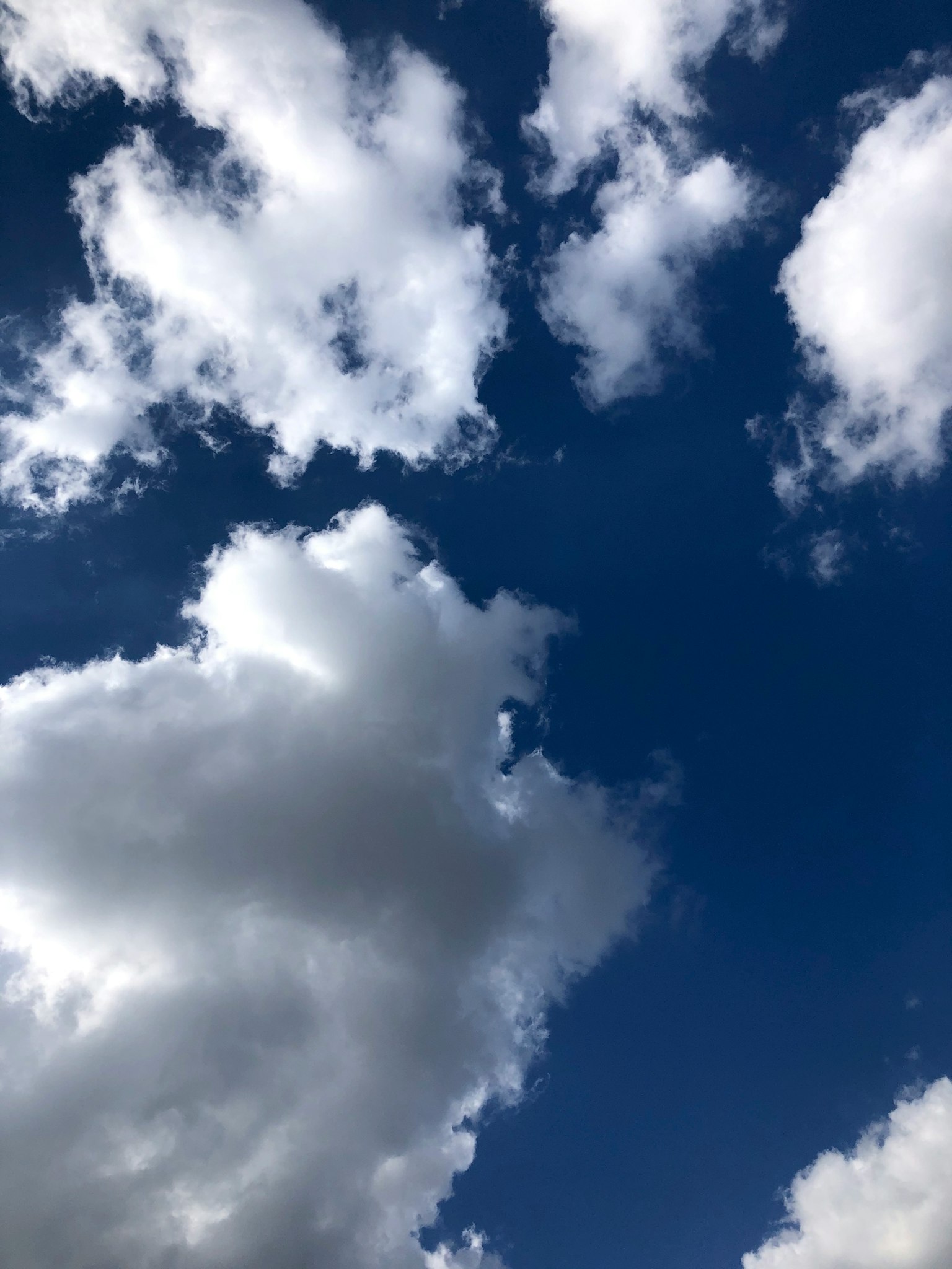 Vista panoramica di nuvole bianche su un cielo blu