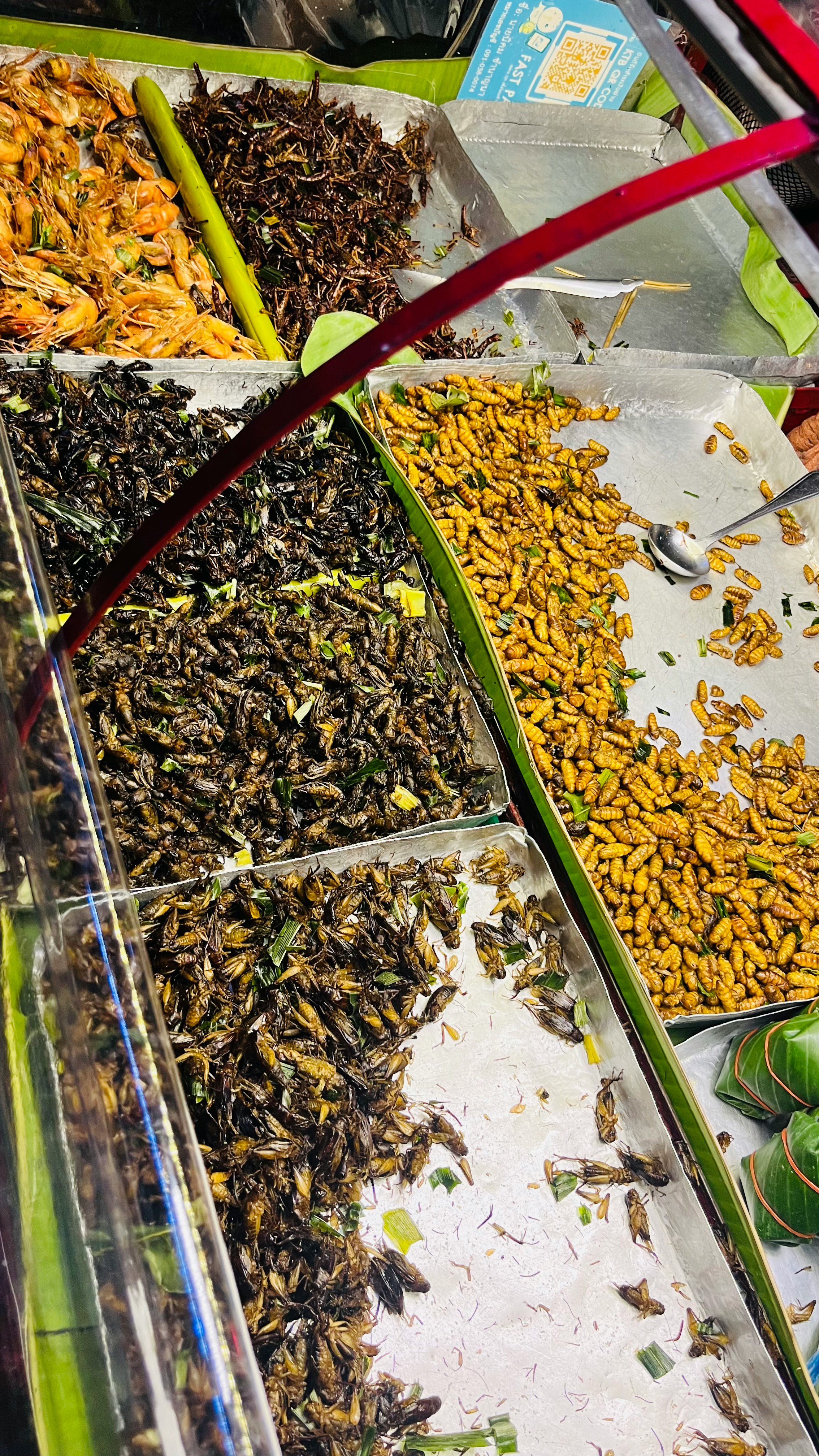 display of assorted toppings like nuts and dried ingredients in containers