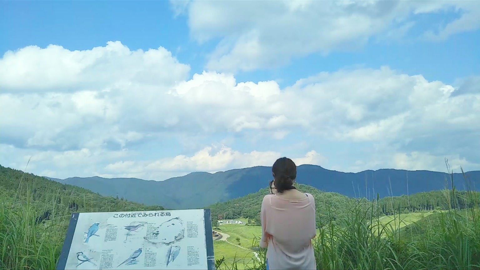 Personne appréciant un paysage avec ciel bleu et nuages à côté d'un panneau d'information