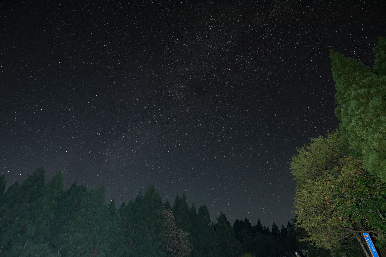 photo-VKJRQ4xVA1CBvzfKfcWM-image