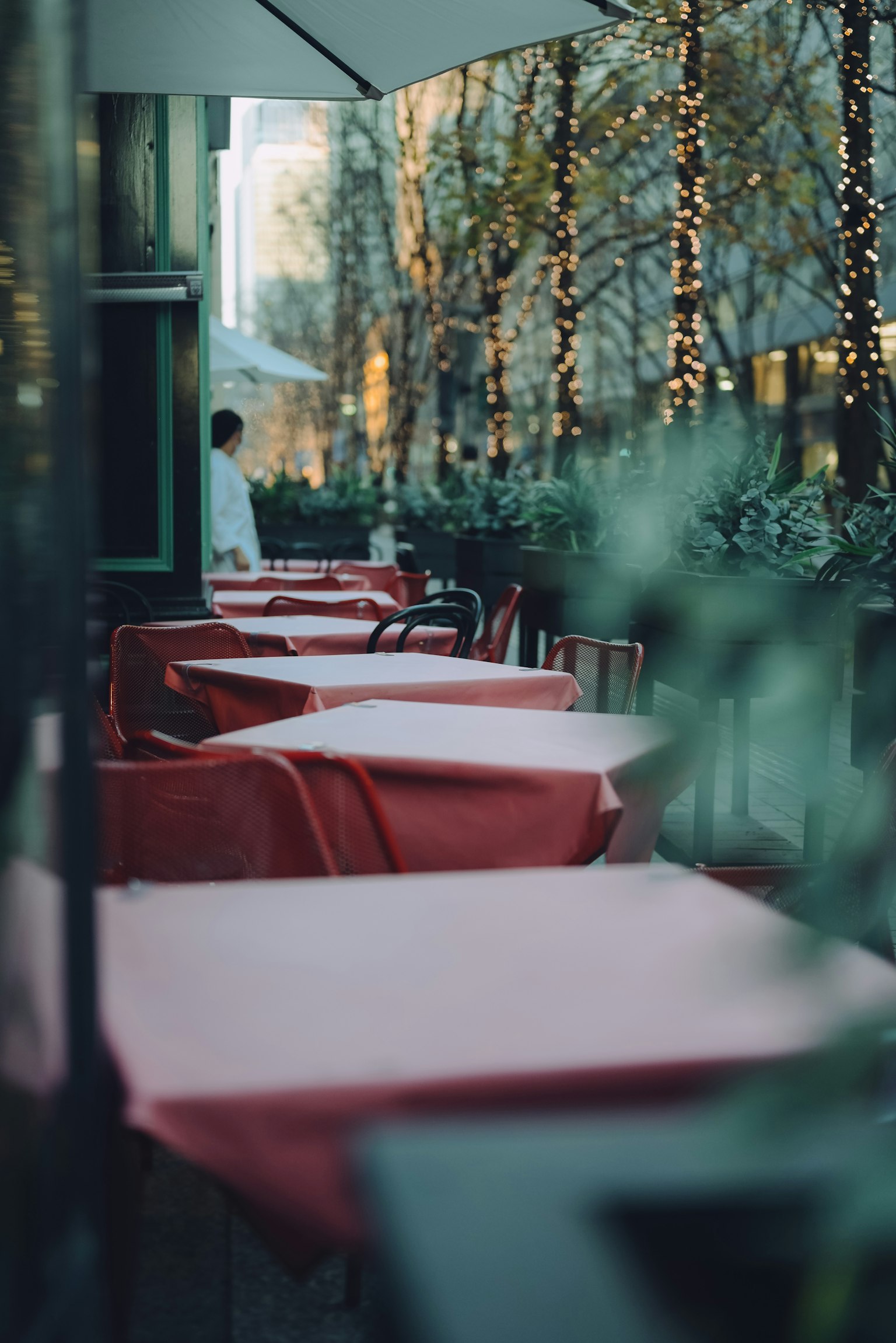 Terrasse de café avec des nappes rouges et des arbres environnants