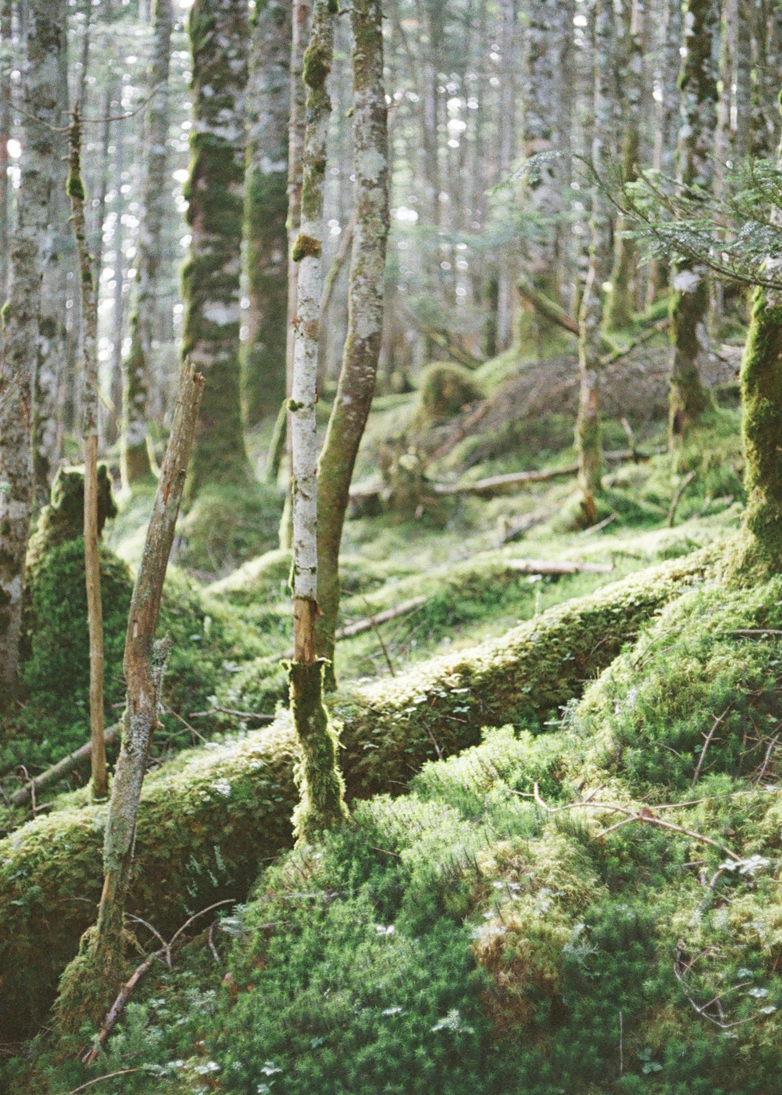 photo-VKhhLOxrQ7dBFrMoN6r8-image