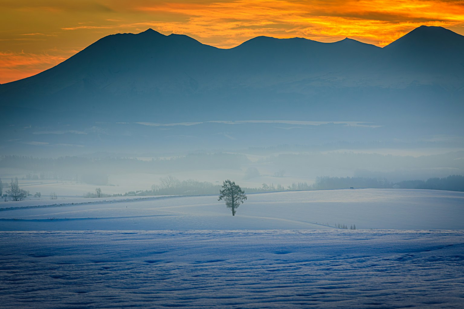 Un albero solitario in un paesaggio innevato con un cielo sfumato di blu e arancione