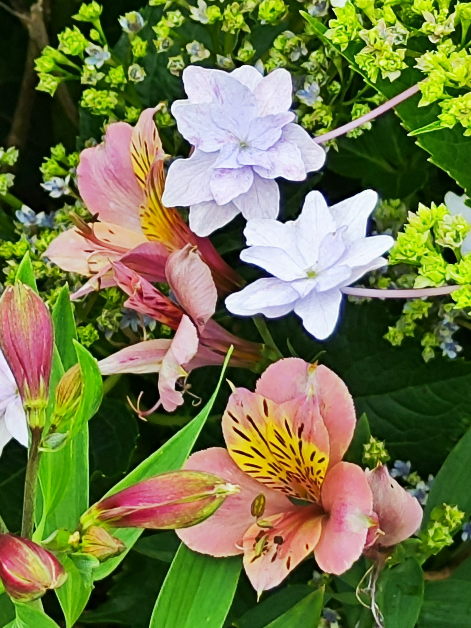 Jardin vibrant avec diverses fleurs colorées en pleine floraison