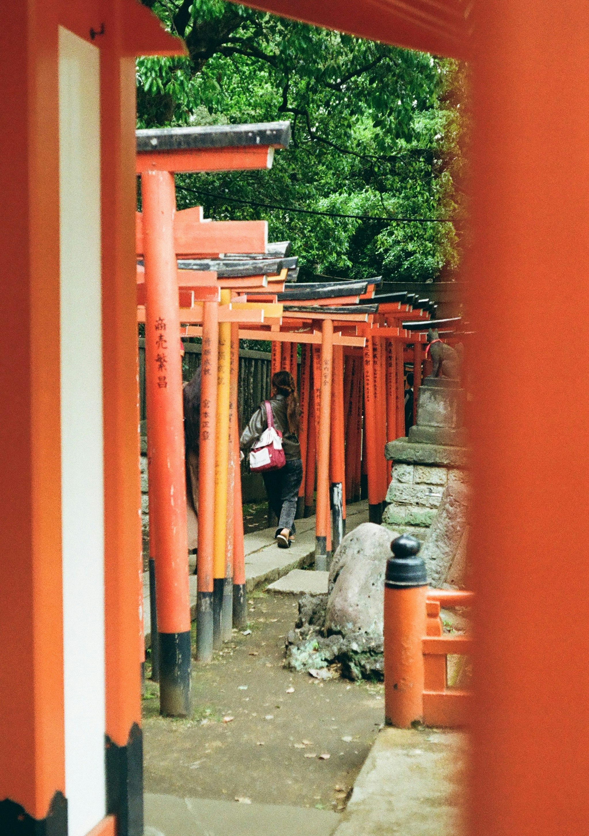 朱色の鳥居の並ぶ参道で歩く人々