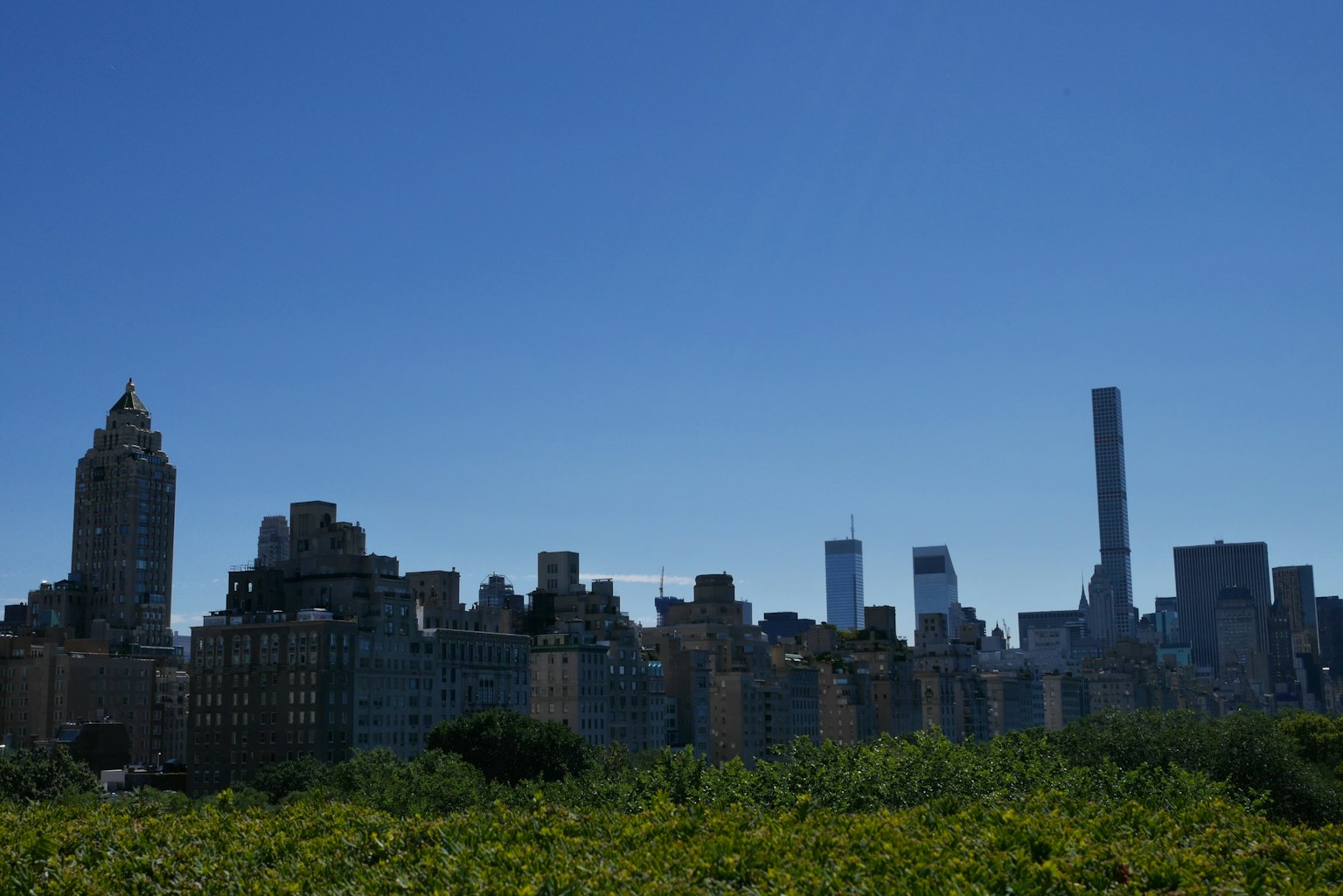 Skyline di New York sotto un cielo azzurro con erba verde in primo piano