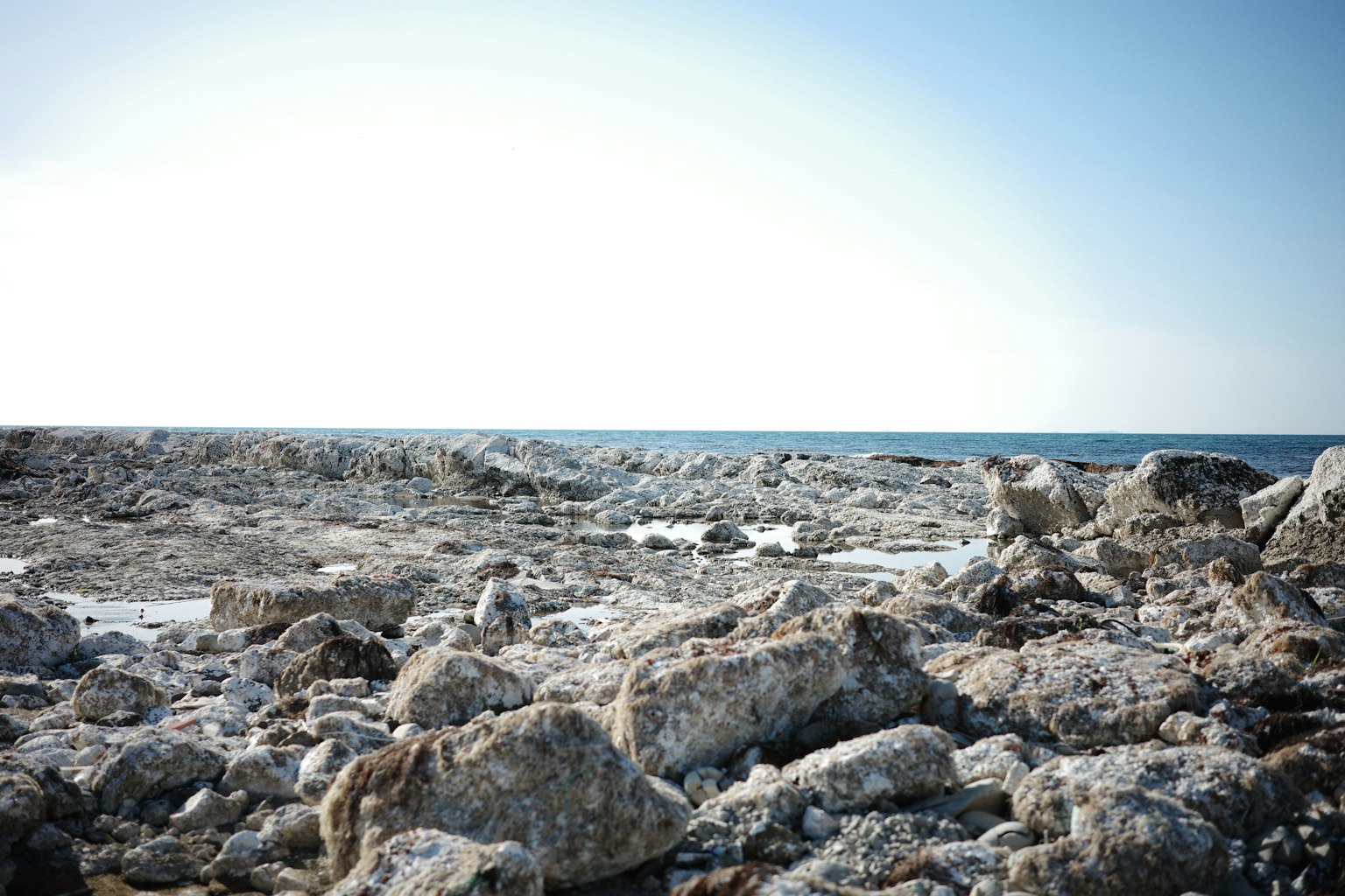 photo-VNH4AWYeLLj5A0g4Ohfw-image