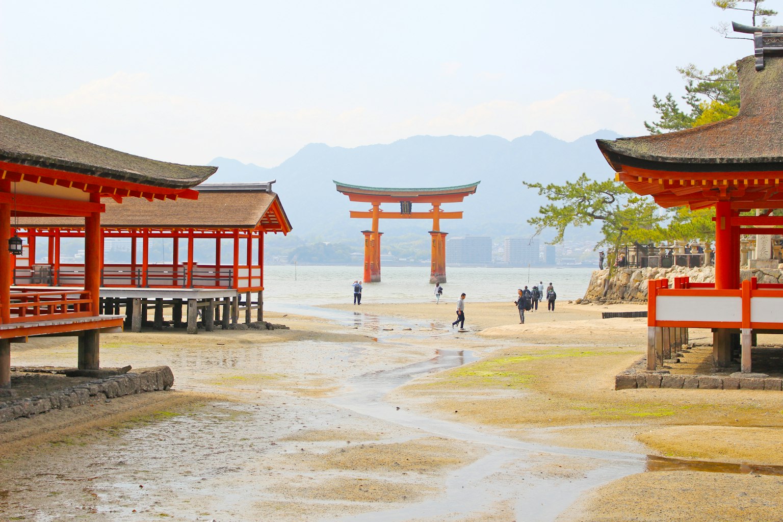 Vista de la puerta Torii en el santuario de Itsukushima con pabellones rojos y playa de arena