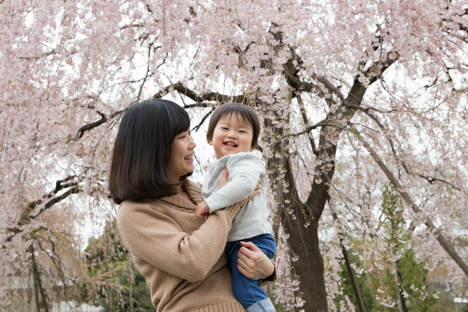 Mutter hält lächelndes Kind unter Kirschbaum