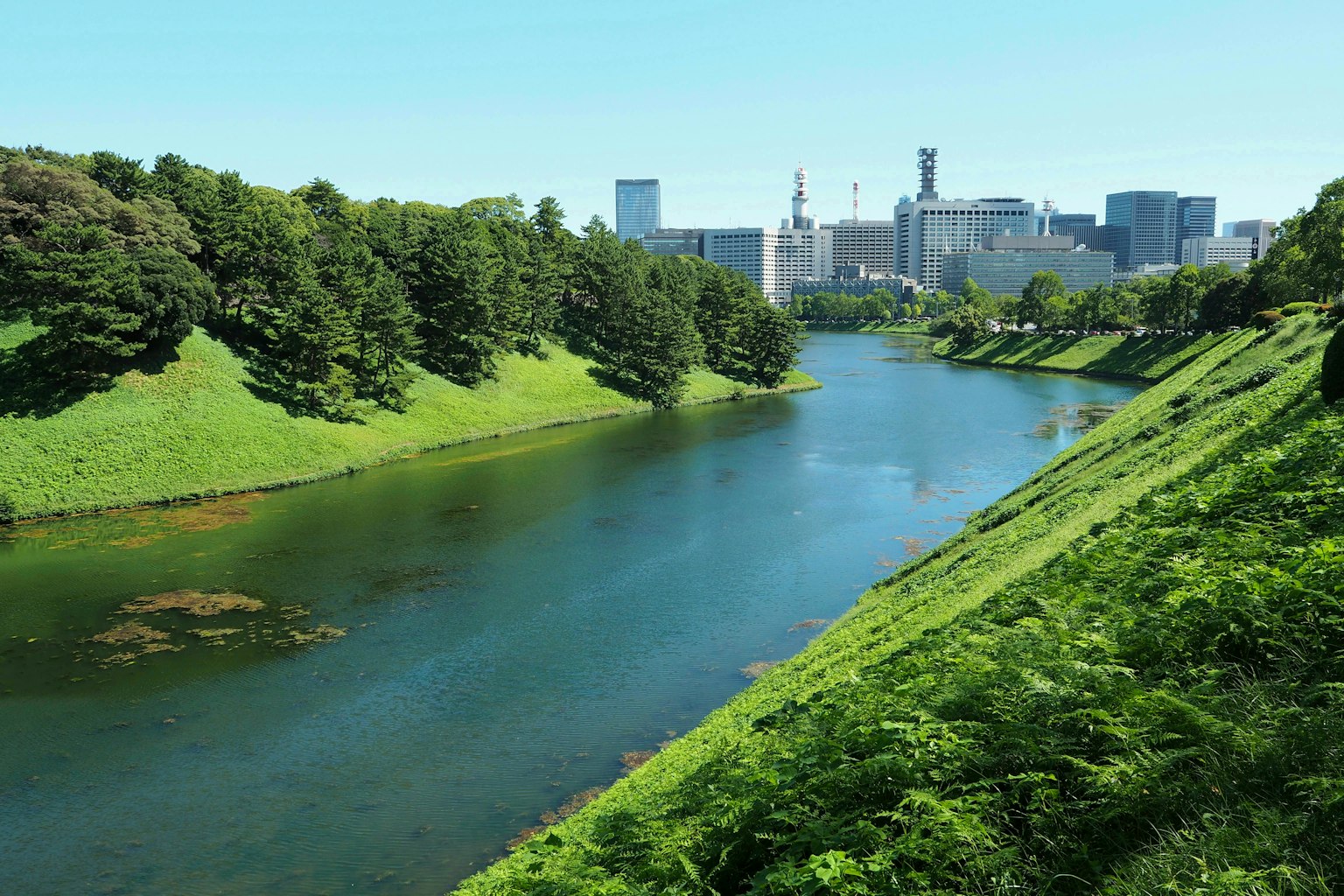 绿丘和城市天际线可见的风景
