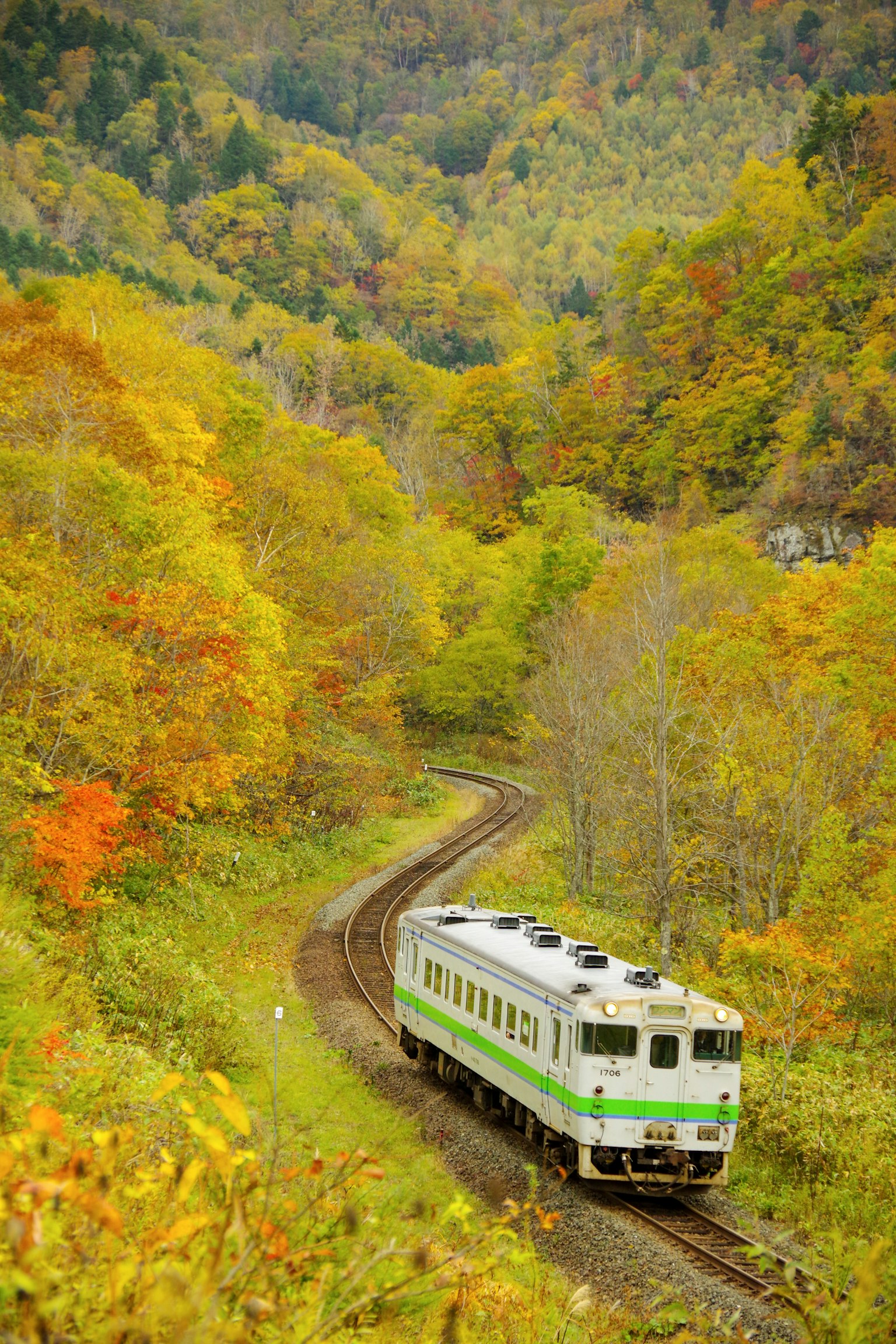 Train vert voyageant à travers des montagnes aux couleurs d'automne