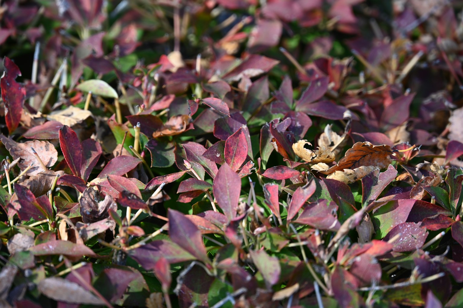 photo-VPeHwUe3ljFe0WDXmYHx-image