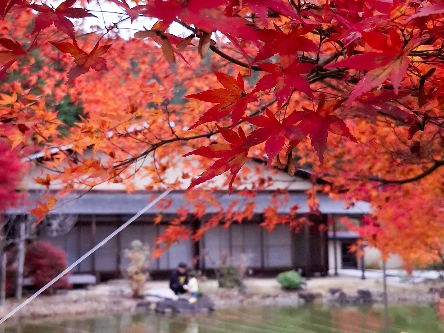 Jardin japonais pittoresque avec des feuilles d'automne vibrantes bâtiment traditionnel en arrière-plan