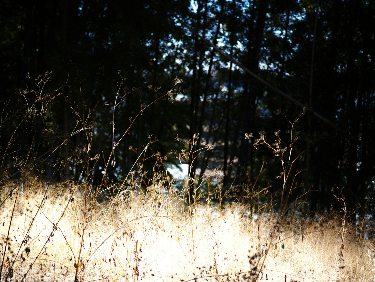 photo-VQ8k2C5DCY6ksYE0fSfX-image