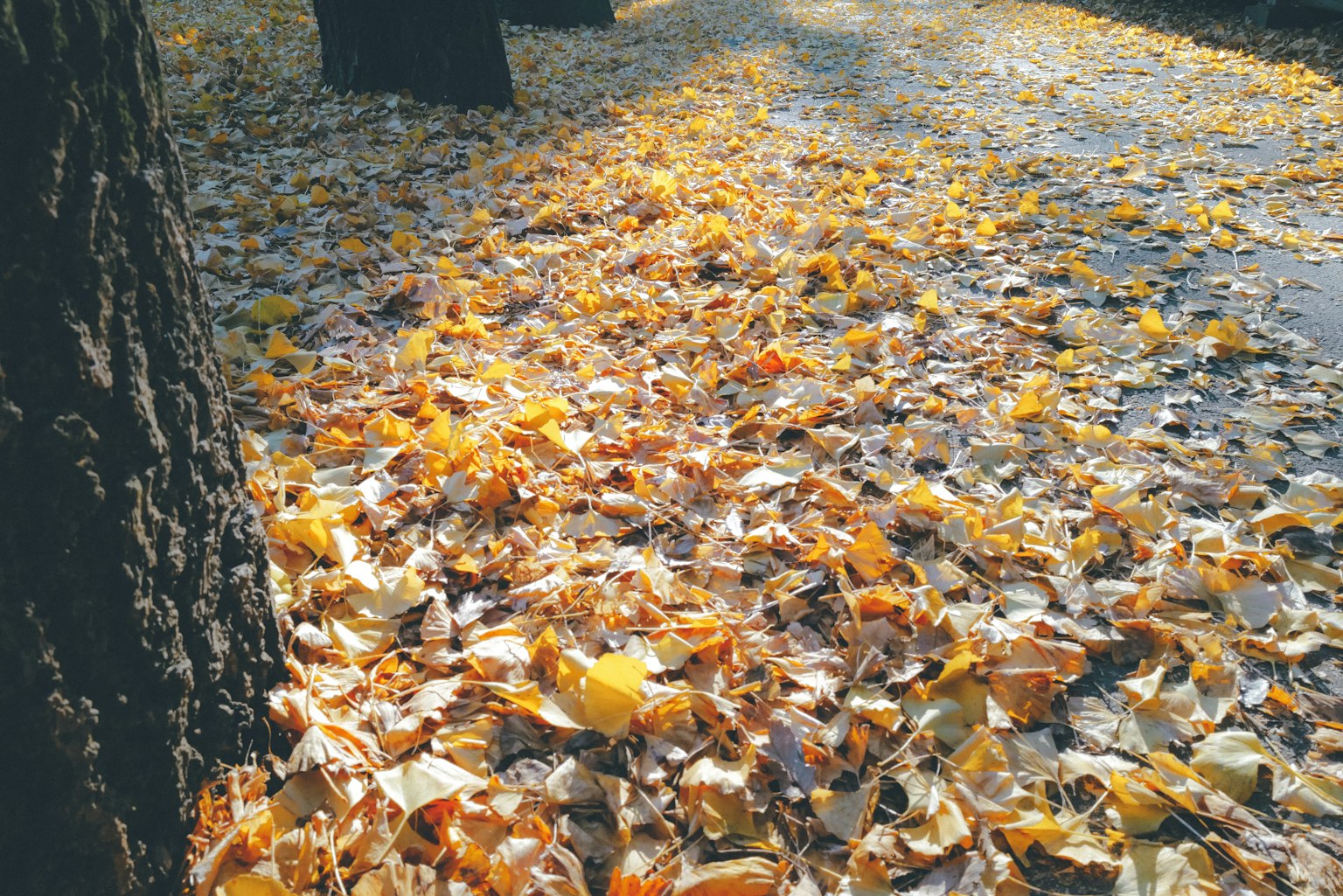 photo-VQkwtEW32WVZmLI730WW-image