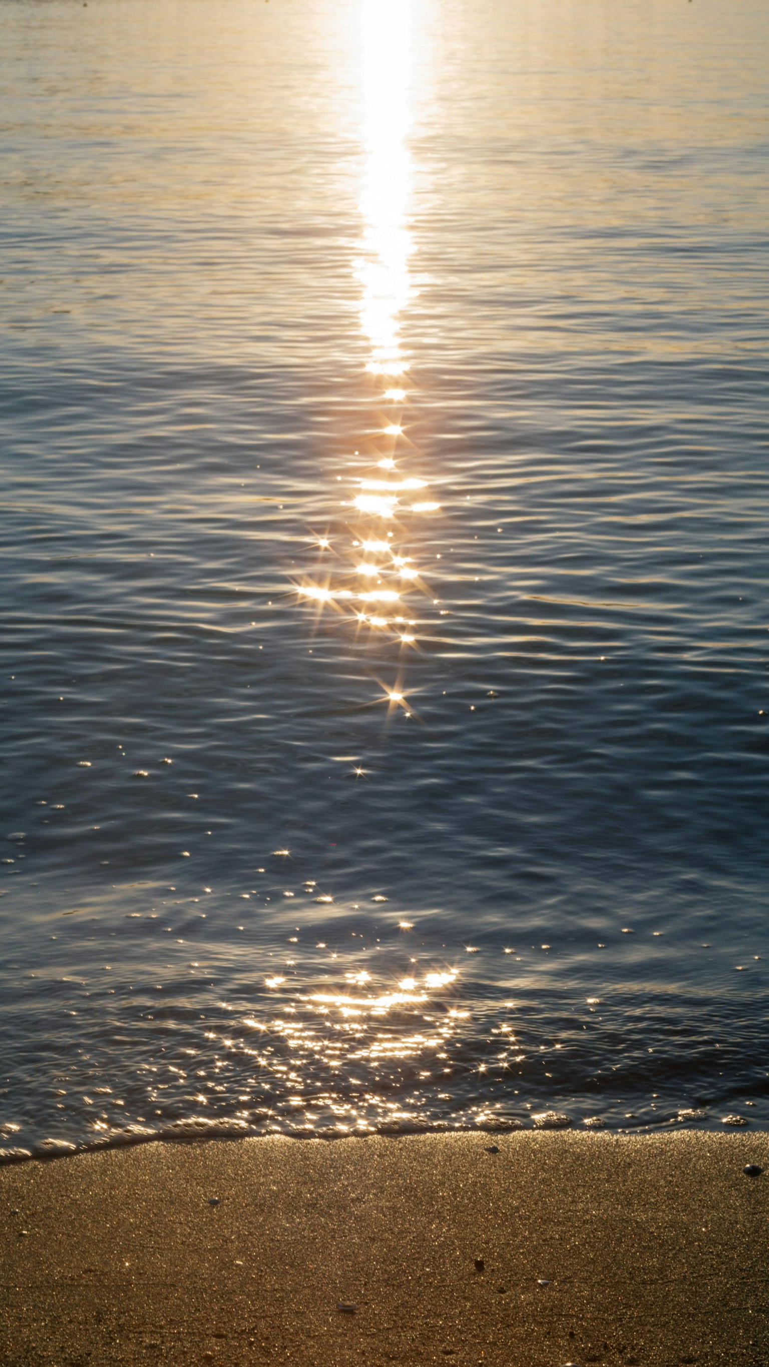 Superficie del mar tranquila reflejando la luz del sol con una playa de arena