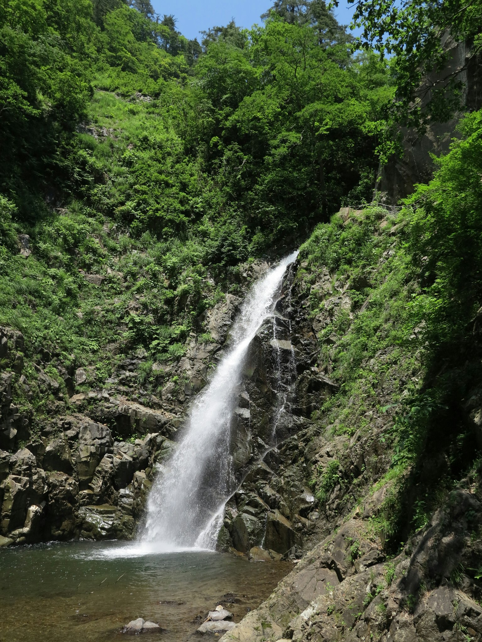 Una hermosa cascada que cae sobre rocas rodeada de vegetación exuberante