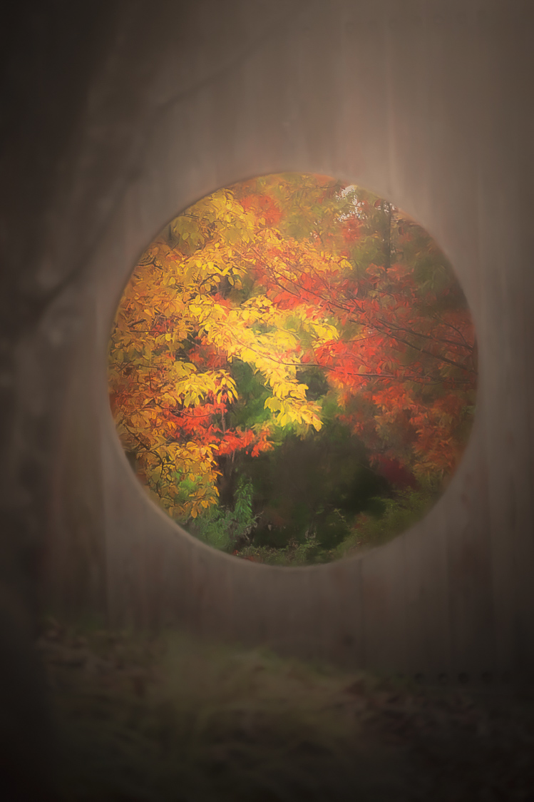 秋の紅葉を丸く切り取った幻想的な風景