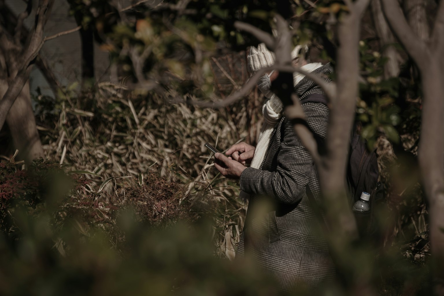 Una persona che usa uno smartphone tra gli alberi e il fogliame