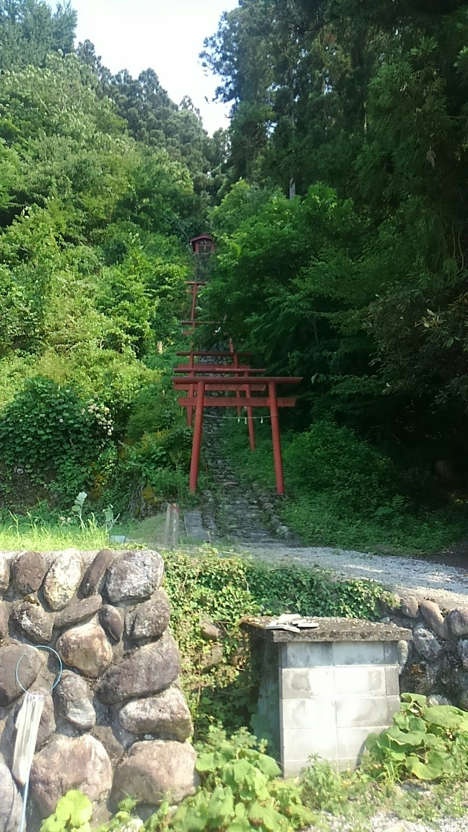 A scenic view of a red torii gate along a lush green hillside pathway