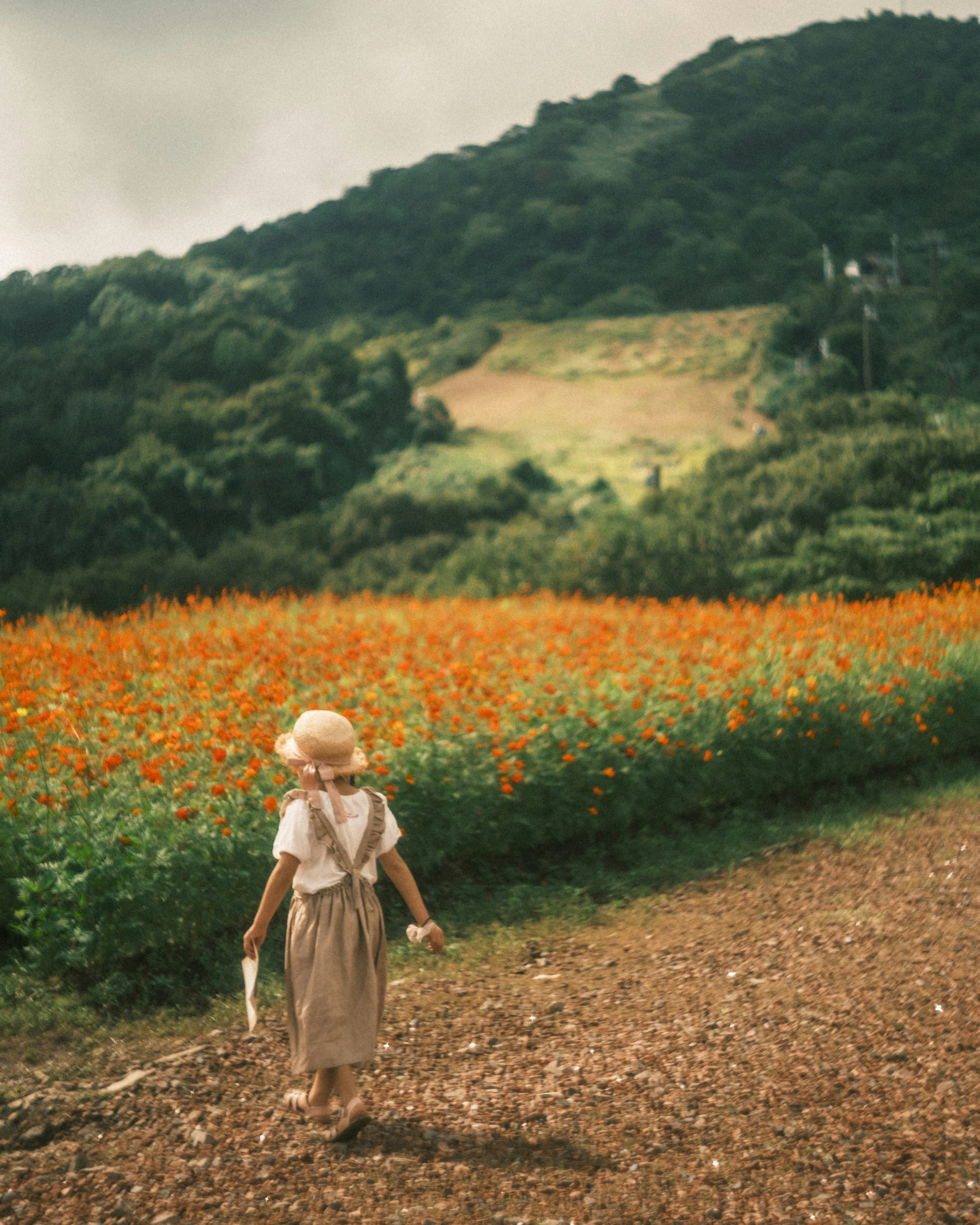 花畑の小道を歩く子ども