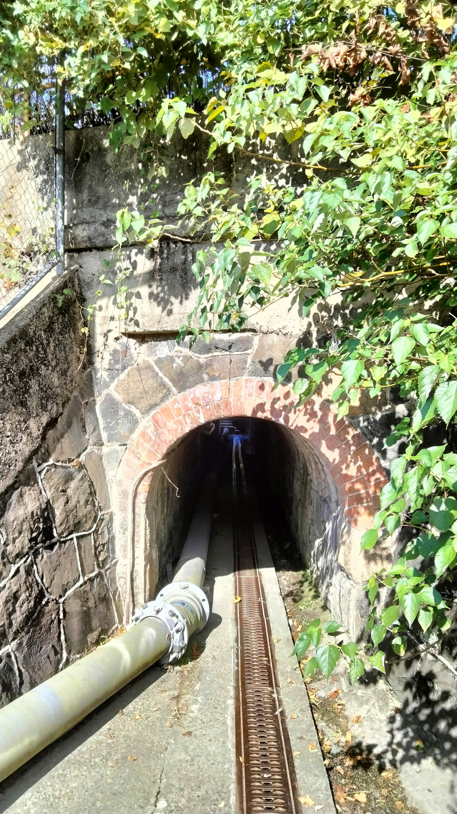 Entrée d'un tunnel recouvert de verdure avec un tuyau visible