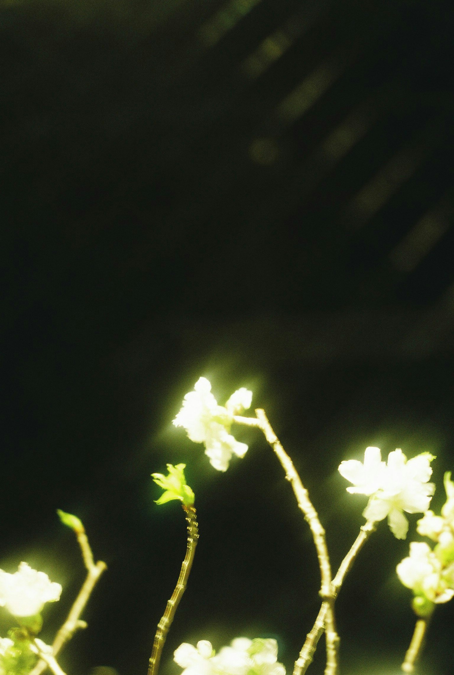photo-VTLmG1K7Ks2KOUrOoyG1-image