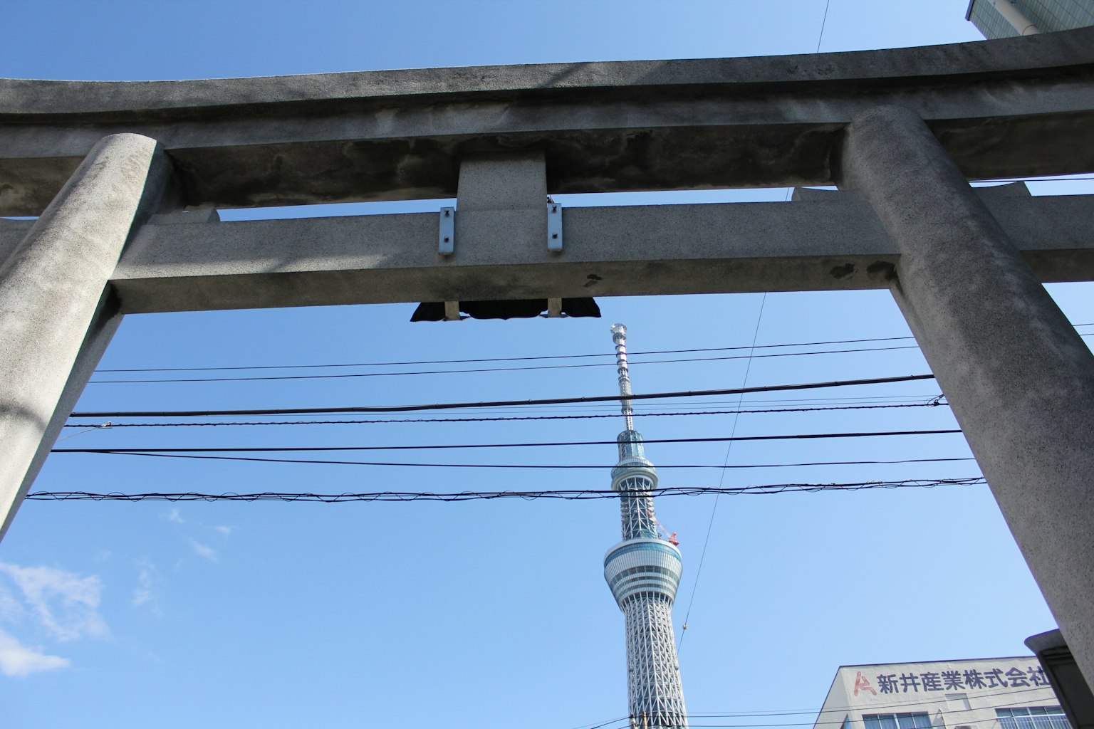 透过鸟居看到的东京天空树