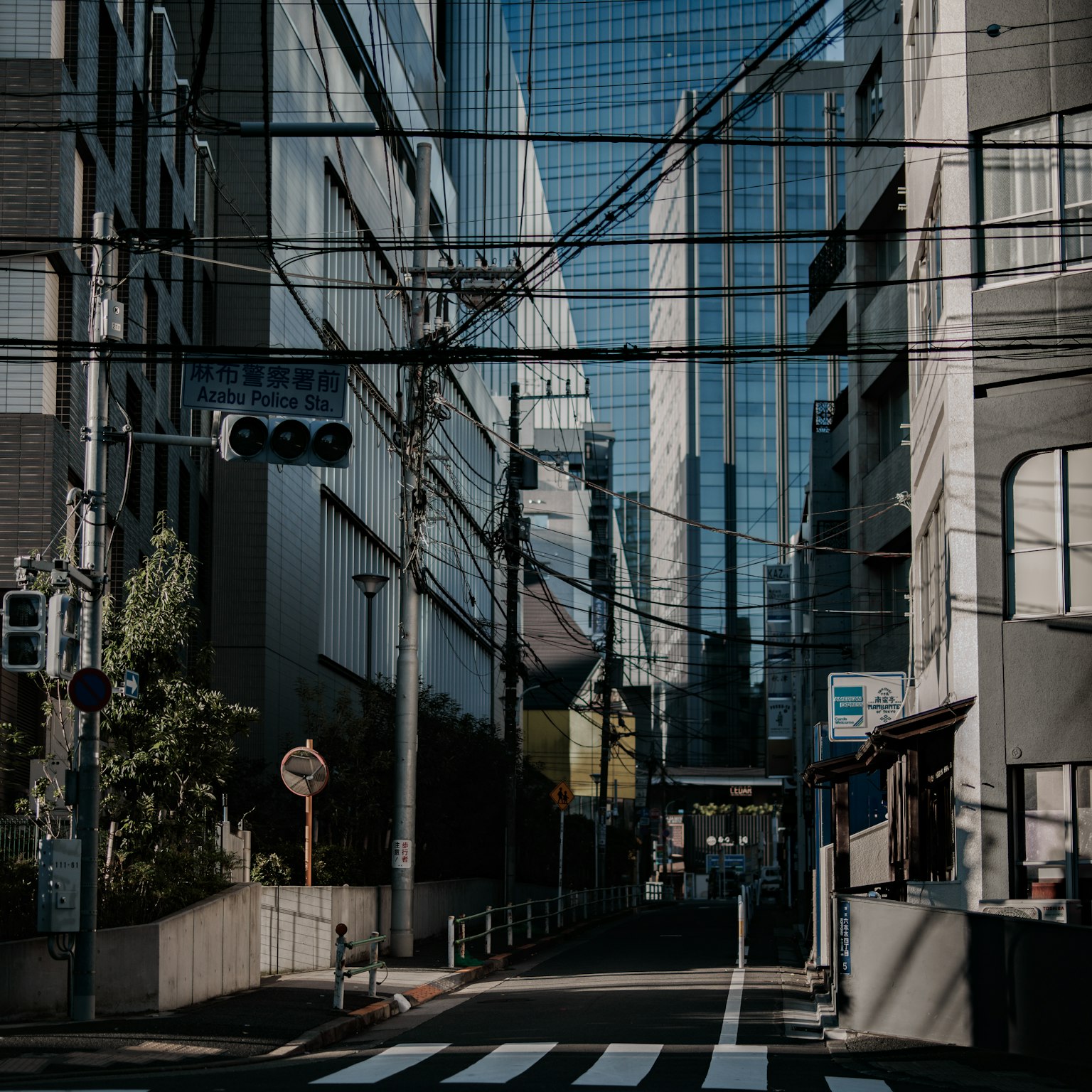 城市景观，带有高楼和可见的交通信号